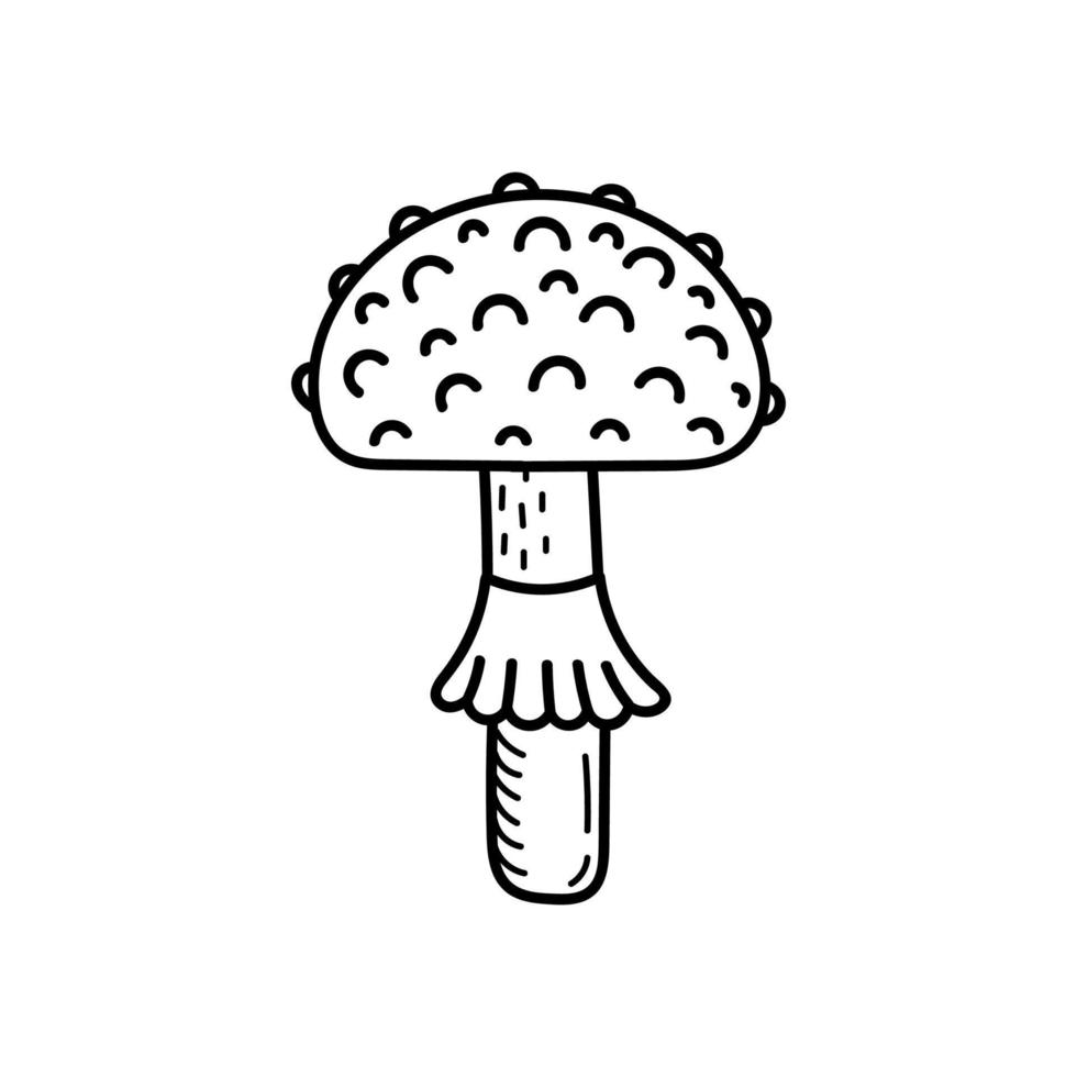 süßer Pilz im Doodle-Stil. Giftpilz, Fliegenpilz, Giftpilz. vektorisolierte handgezeichnete illustration zum ausmalen von seiten, skizze, umriss vektor