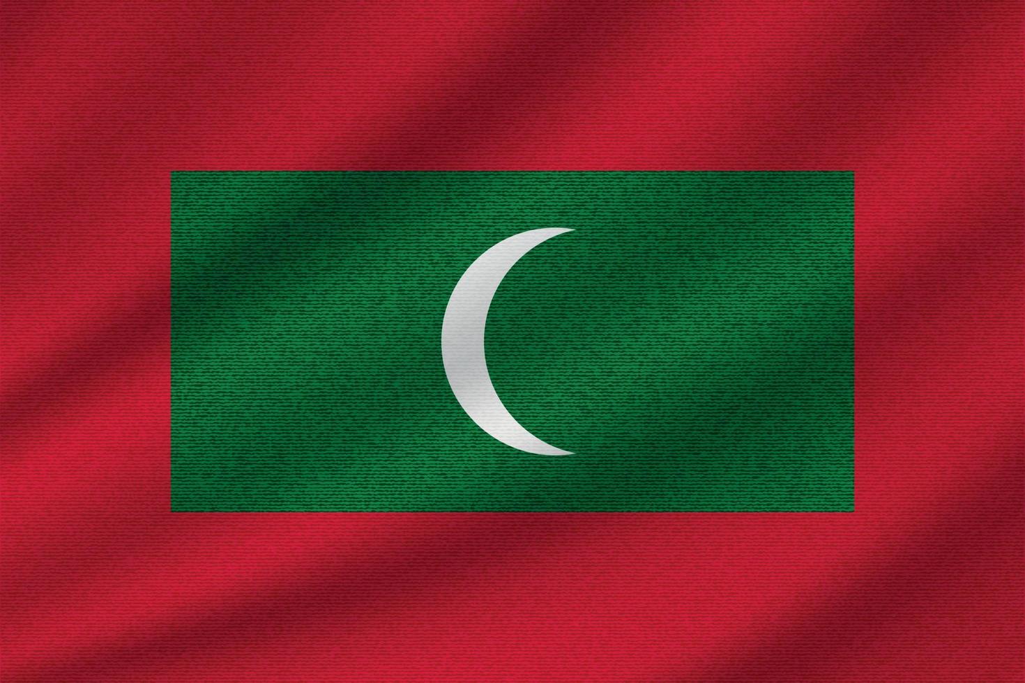 Maldivernas nationella flagga vektor