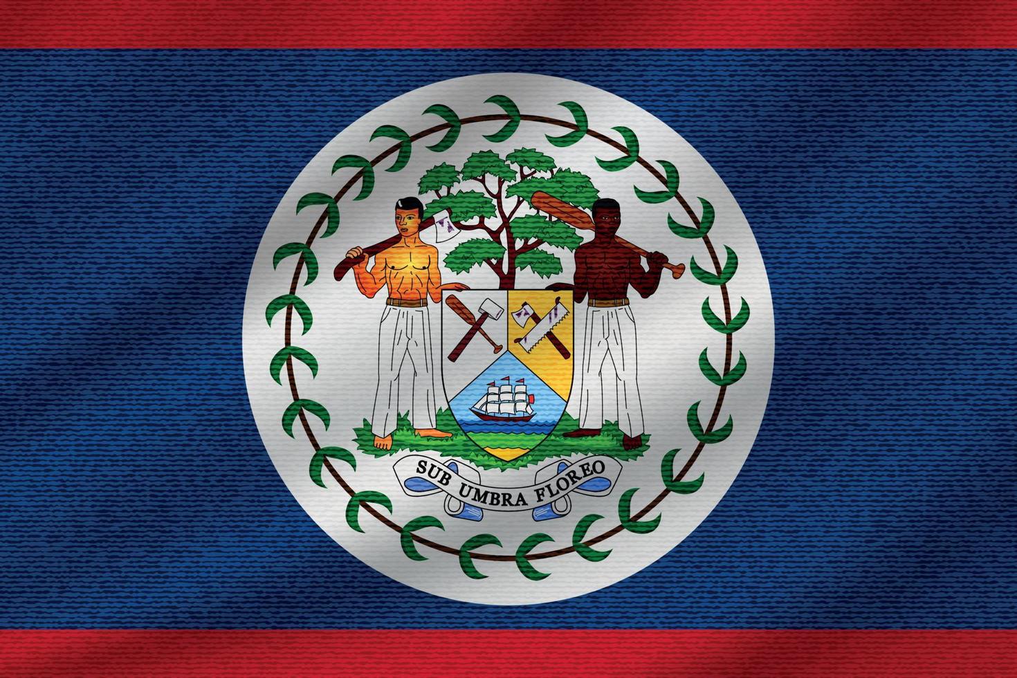 Nationalflagge von Belize vektor