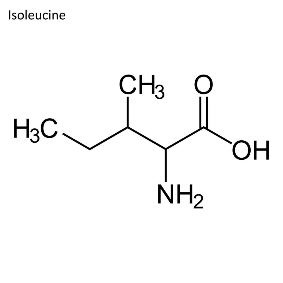 skelett- formel av isoleucin vektor