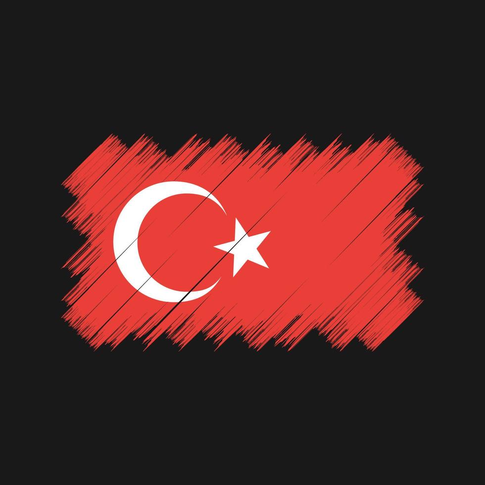 Bürste mit türkischer Flagge. Nationalflagge vektor