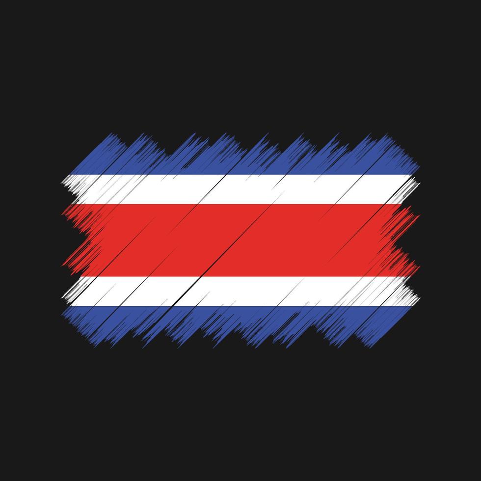 Bürste mit Costa-Rica-Flagge. Nationalflagge vektor
