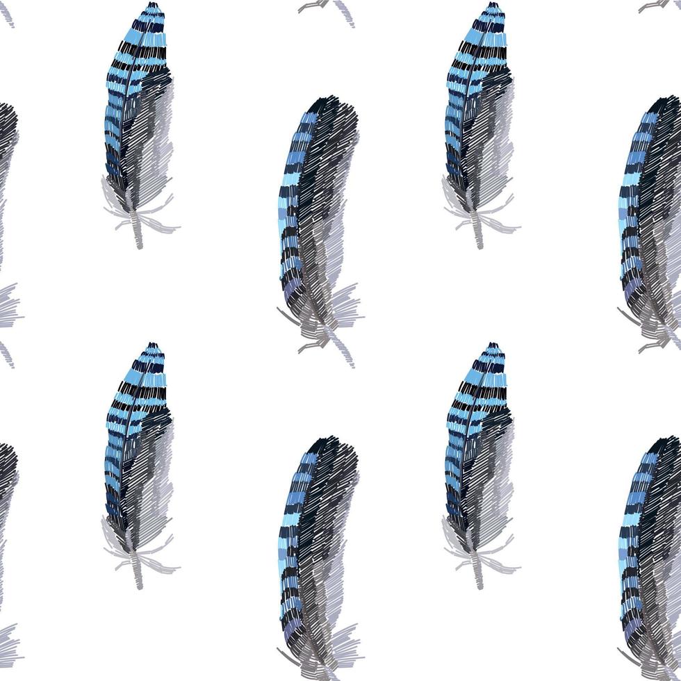 Muster mit blauen Federn auf weißem Hintergrund. vektor