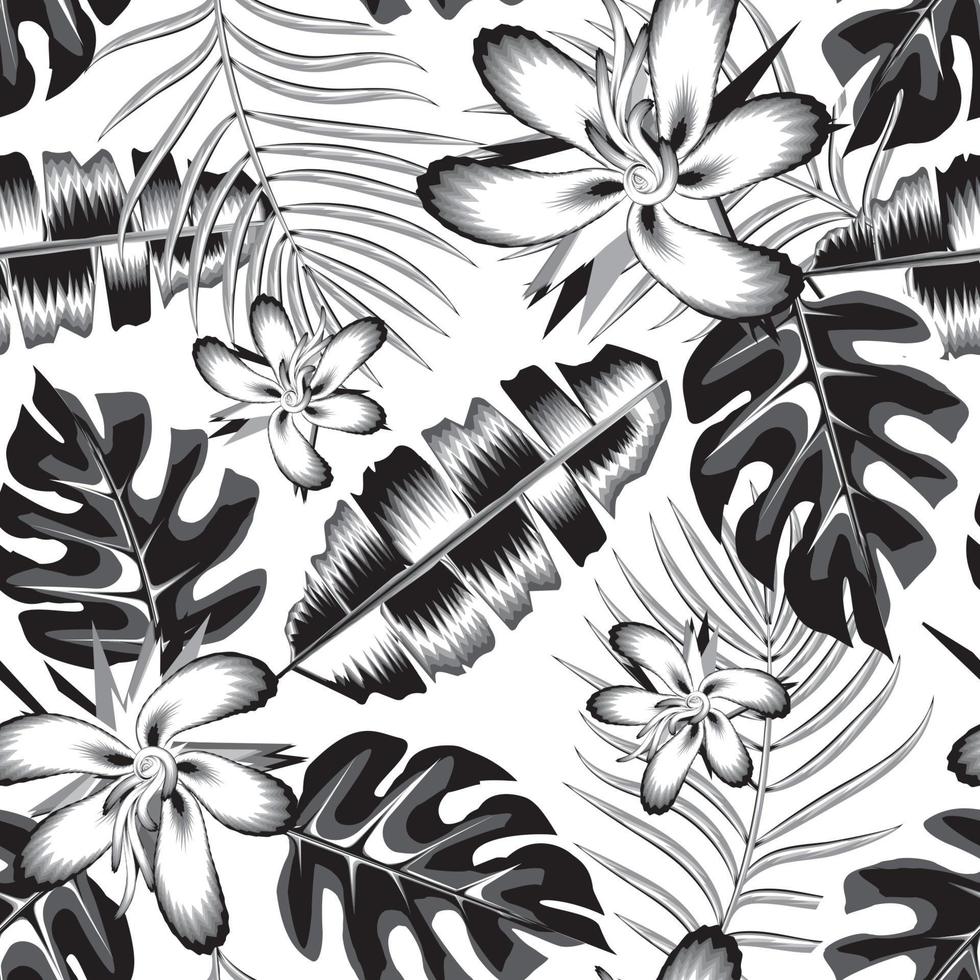 modern textur årgång tropisk sömlös mönster med banan löv, handflatan och monstera blad i svart vit enfärgad Färg stil på ljus bakgrund. vektor design. exotisk sommar design