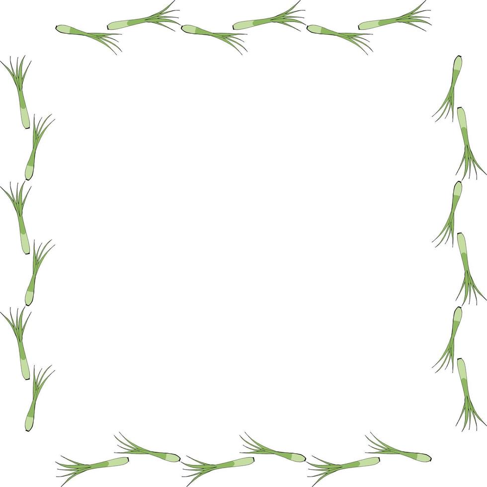 quadratischer Rahmen mit Frühlingszwiebeln auf weißem Hintergrund. Vektorbild. vektor