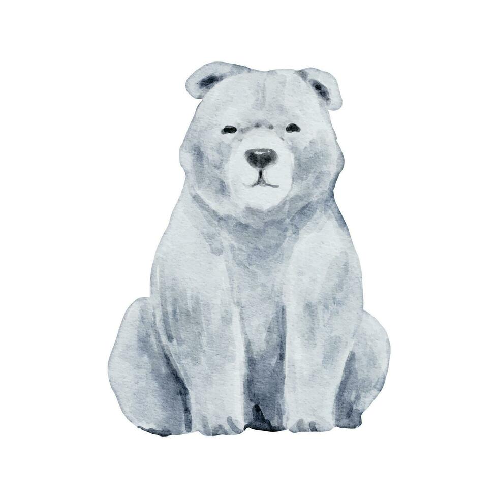 polär Björn vattenfärg isolerat på vit bakgrund. vild djur- illustration. skog Björn vattenfärg teckning design vektor