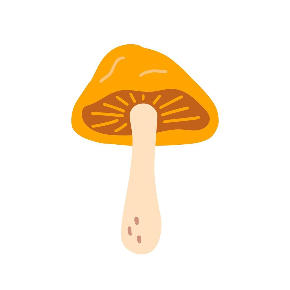 lactarius, svamp med ett orange keps, vektor platt illustration på vit bakgrund