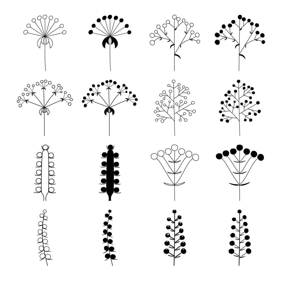 blomma blomställningar i växter på en stam, isolerat vektor, annorlunda packa av översikt silhuetter av blomställningar vektor