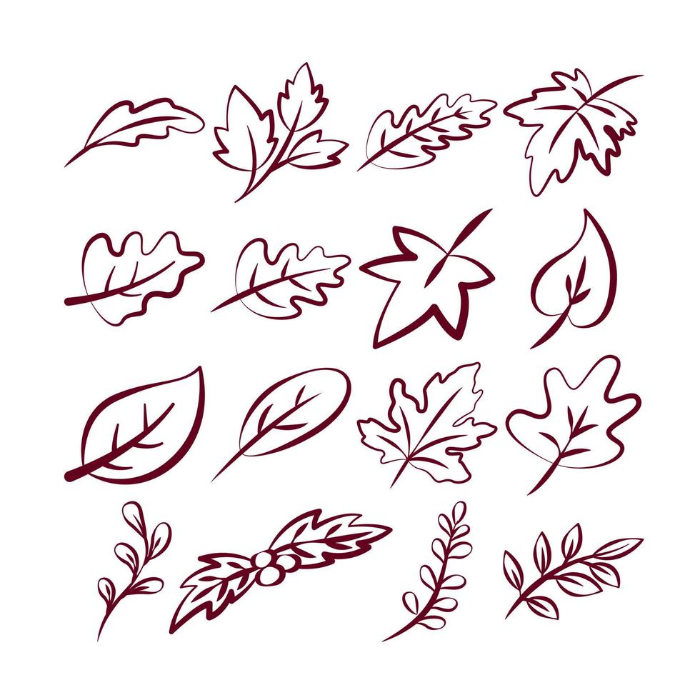 Lineart aus verschiedenen Zweigen und Blättern. isoliert auf weißem Hintergrund. Elemente für den Herbstbedarf vektor