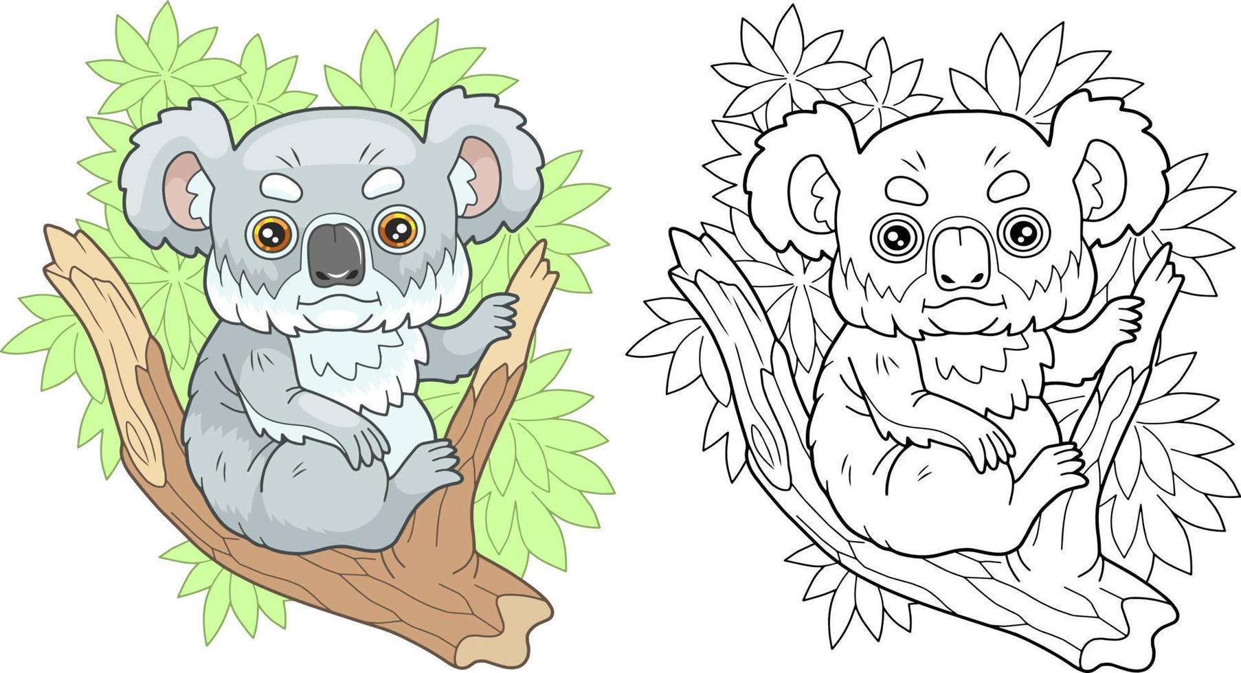 liten söt koala, färg bok för barn, tecknad serie illustration vektor