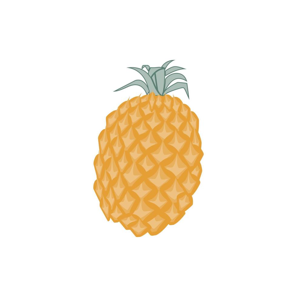 Ananas und Vitamine symbol Vektor Illustration. Illustration mit einem tropischen Thema