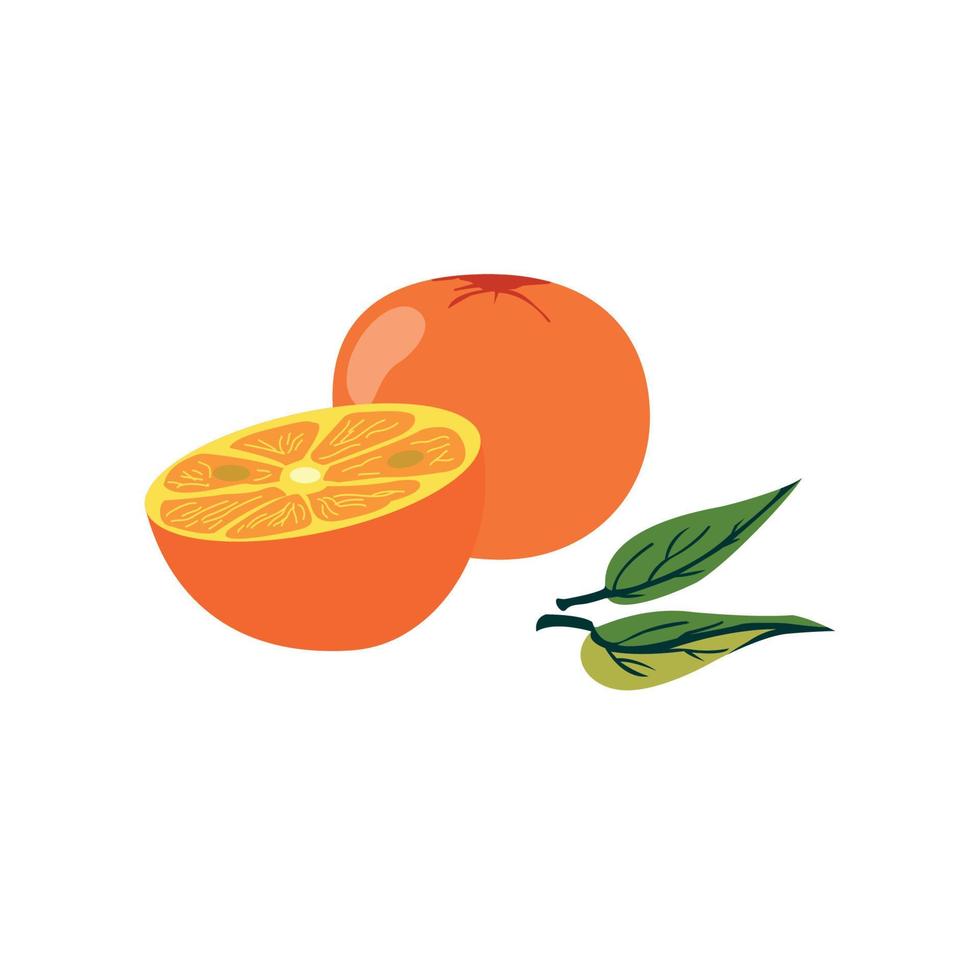 Schnitte von Orange Vector Illustration einer vollen und halben Orange