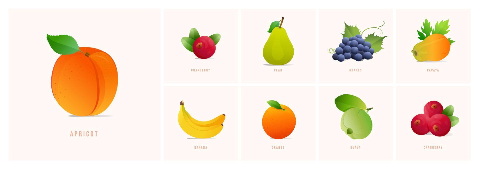 uppsättning av frukter, modern stil vektor illustrationer. aprikos, tranbär, banan, vindruvor papaya, päron, guava, orange etc.