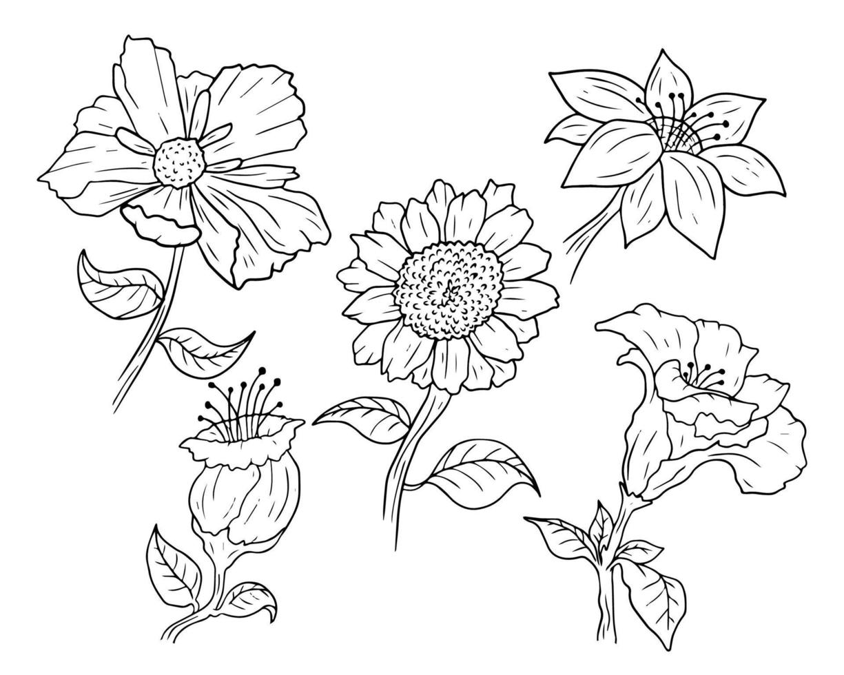 handgezeichnete Blumen-Design-Assets vektor