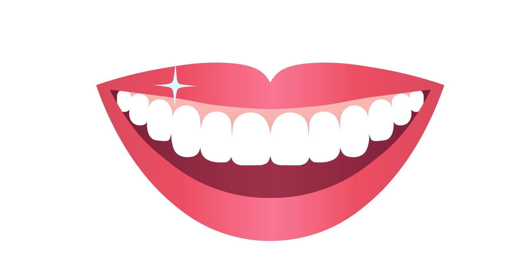 weiße Zähne und rosa Lippen, ein lächelnder Mund einer jungen Frau. Zahnkonzept, Veneers, Zahnaufhellung. Platz kopieren. Vektor-Illustration vektor