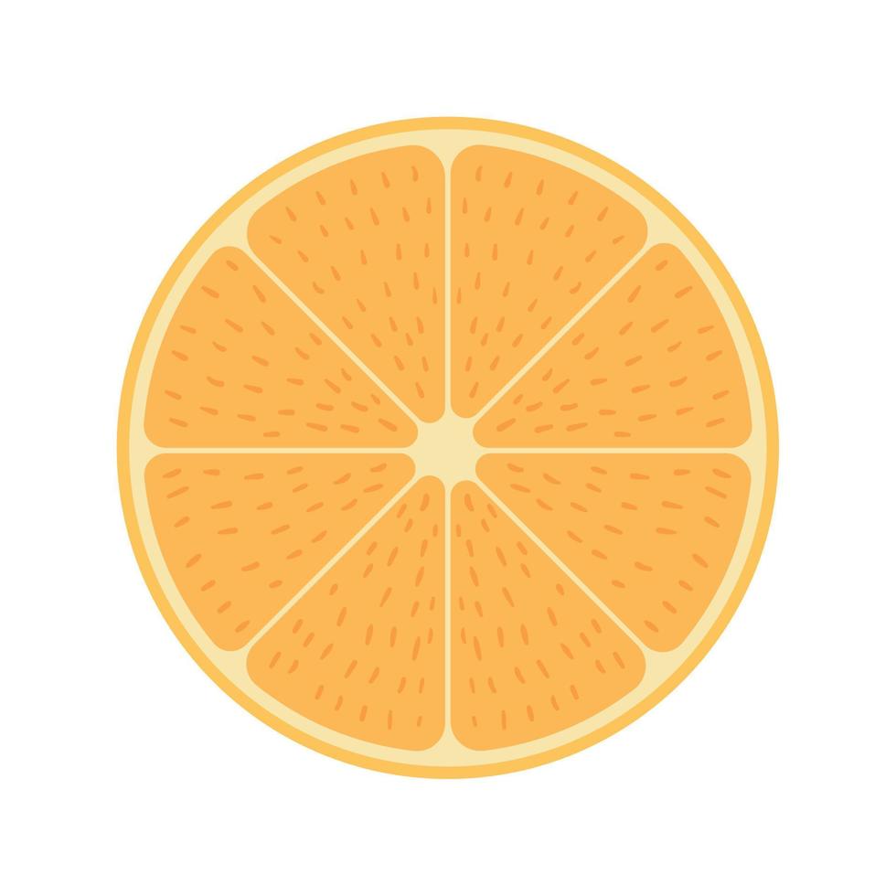 halbe orange Frucht vektor