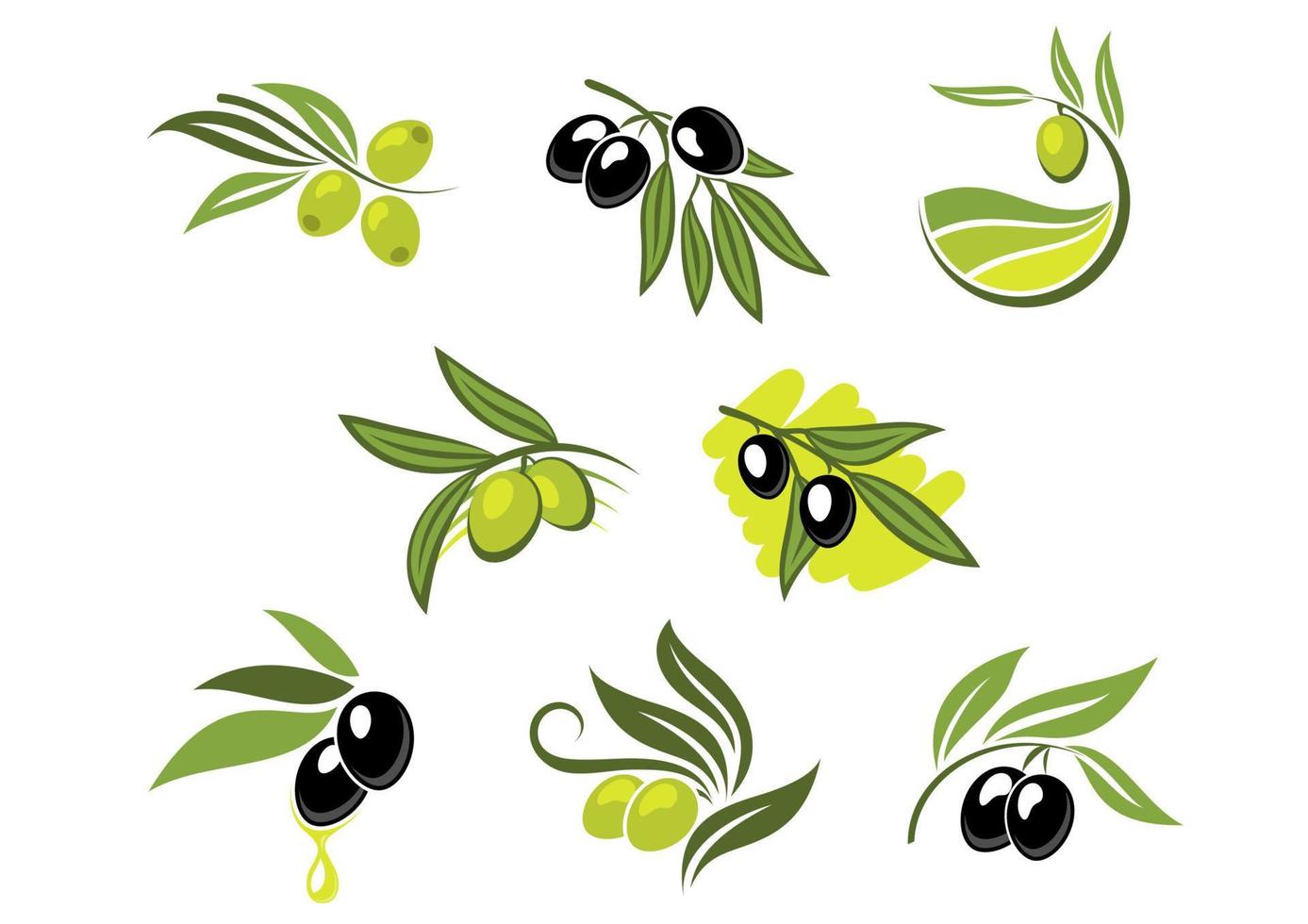 Set aus grünen und schwarzen Oliven vektor
