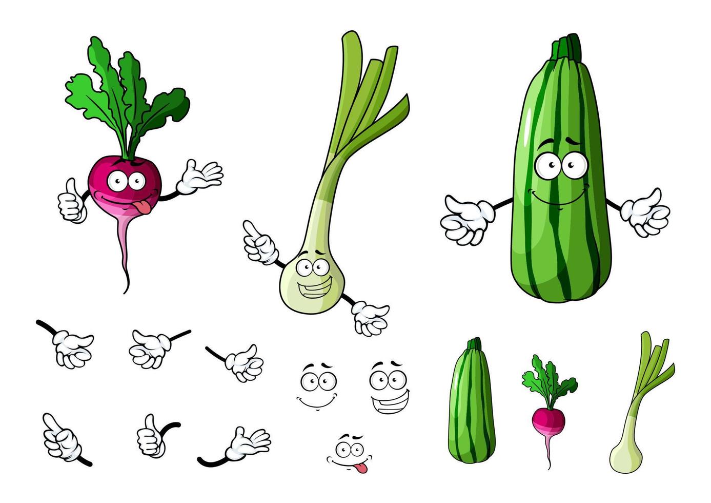 Rettich, Zucchini und Zwiebelgemüse vektor