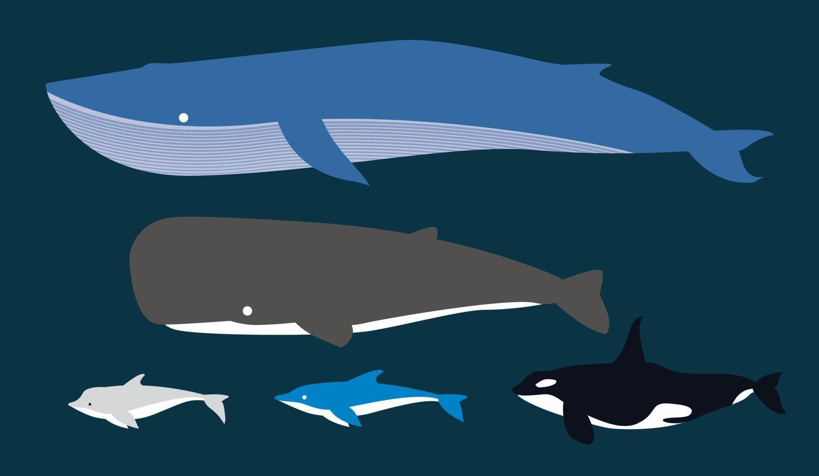 fisk delfin val tecknad serie vektor
