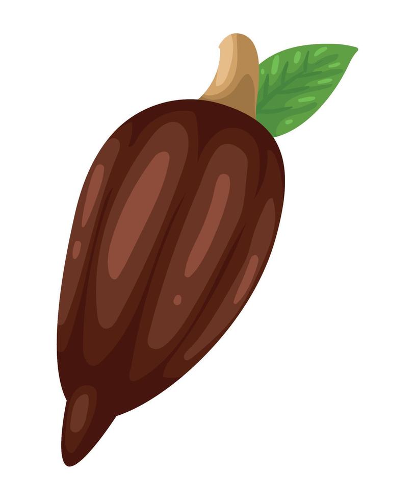 kakao frukt växt vektor