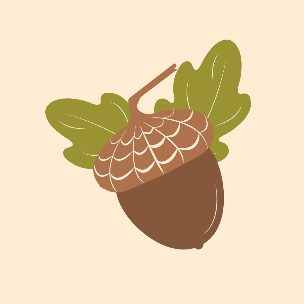 ekollon och löv. vektor illustration av en brun ekollon med en keps och två grön löv för reklam eller skriva ut design.