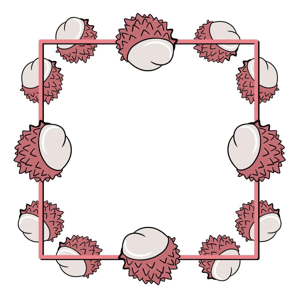quadratischer Rahmen, rotbraune saftige Hälften tropischer Litschi-Früchte, Kopierraum, Vektorillustration im Cartoon-Stil auf weißem Hintergrund vektor