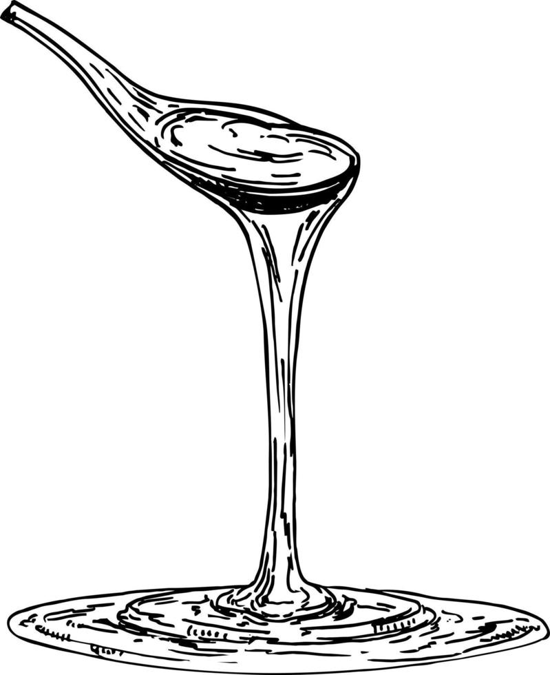ahornsirup, honig, karamell gießt aus einem löffel. Sirup, viskose Flüssigkeit fließt aus einem Löffel. hand gezeichnete skizzenvektorillustration. Retro-Stil. vektor