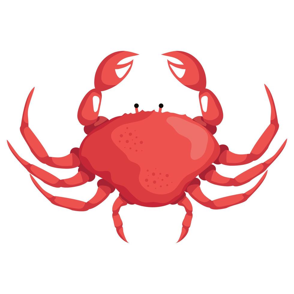 röd krabba djur vektor