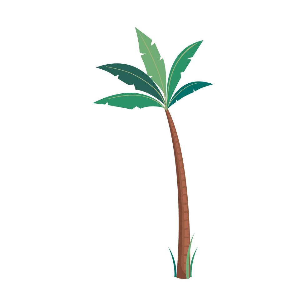 tropische Baumpalme vektor