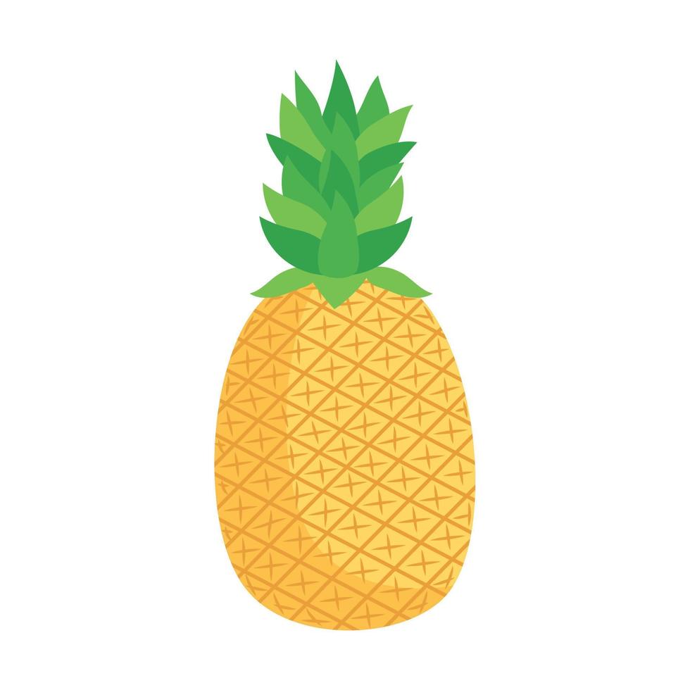 frische Ananasfrucht vektor
