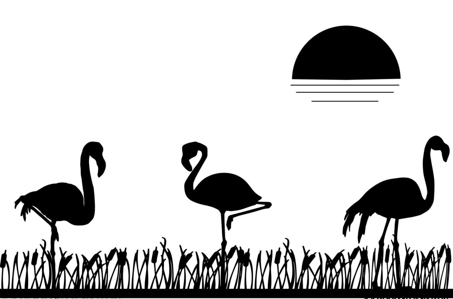 drei Flamingo-Silhouette mit Gras-Silhouette auf weißem Hintergrund vektor