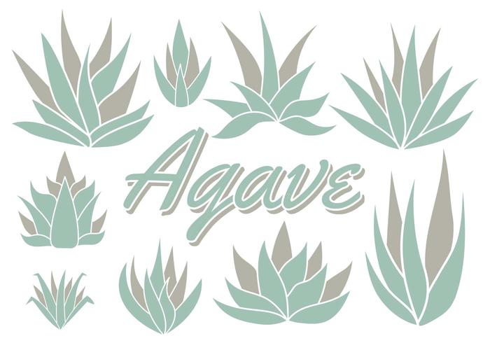 Gratis Maguey Vector