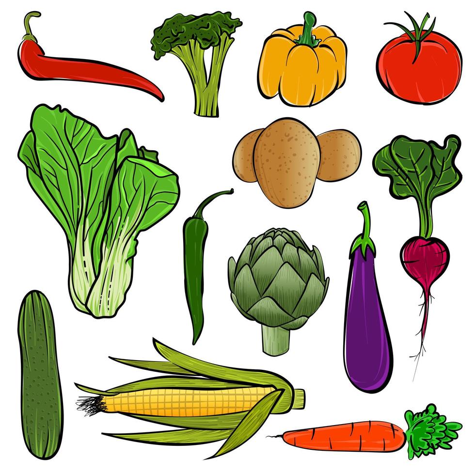 färgrik hand dragen grönsaker vektor illustration