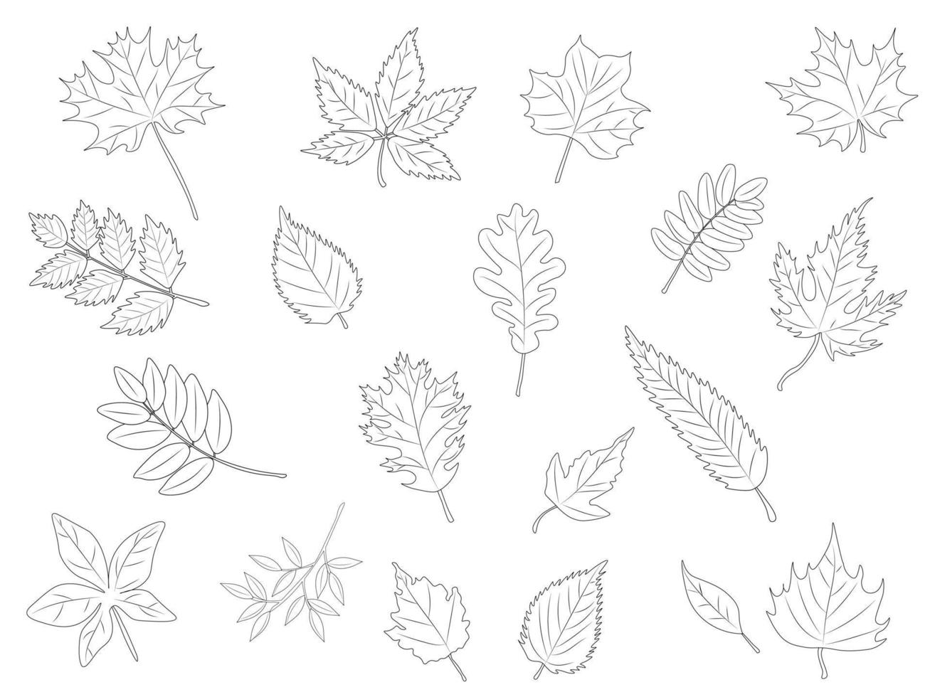 eine reihe von handgezeichneten kunstblättern. Vektor-Illustration. elemente des herbstdesigns vektor