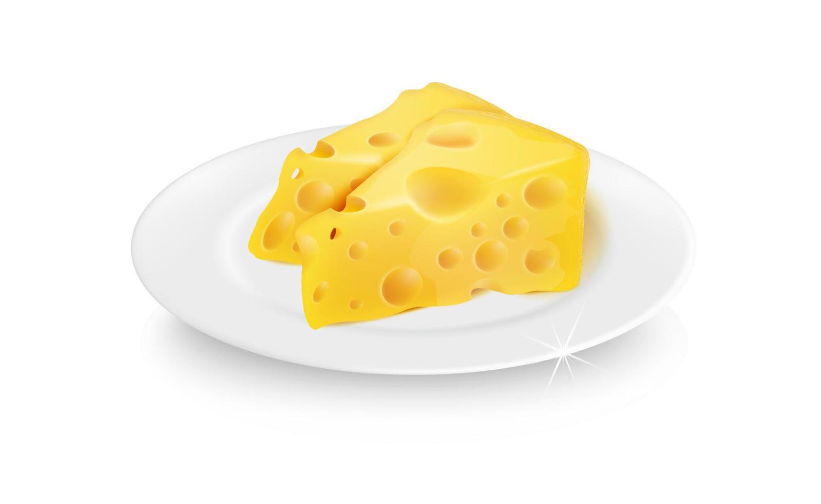 Vektorrealistischer 3D-Käse auf einem weißen Teller. leckere Käsestücke. Lebensmitteldekoration. vektor
