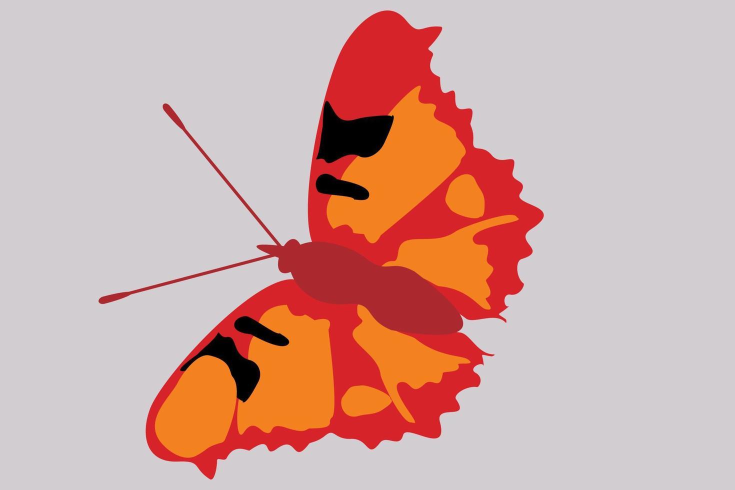 Illustration des Schmetterlings. Schmetterlingsdesign von Hand gezeichnet. vektor