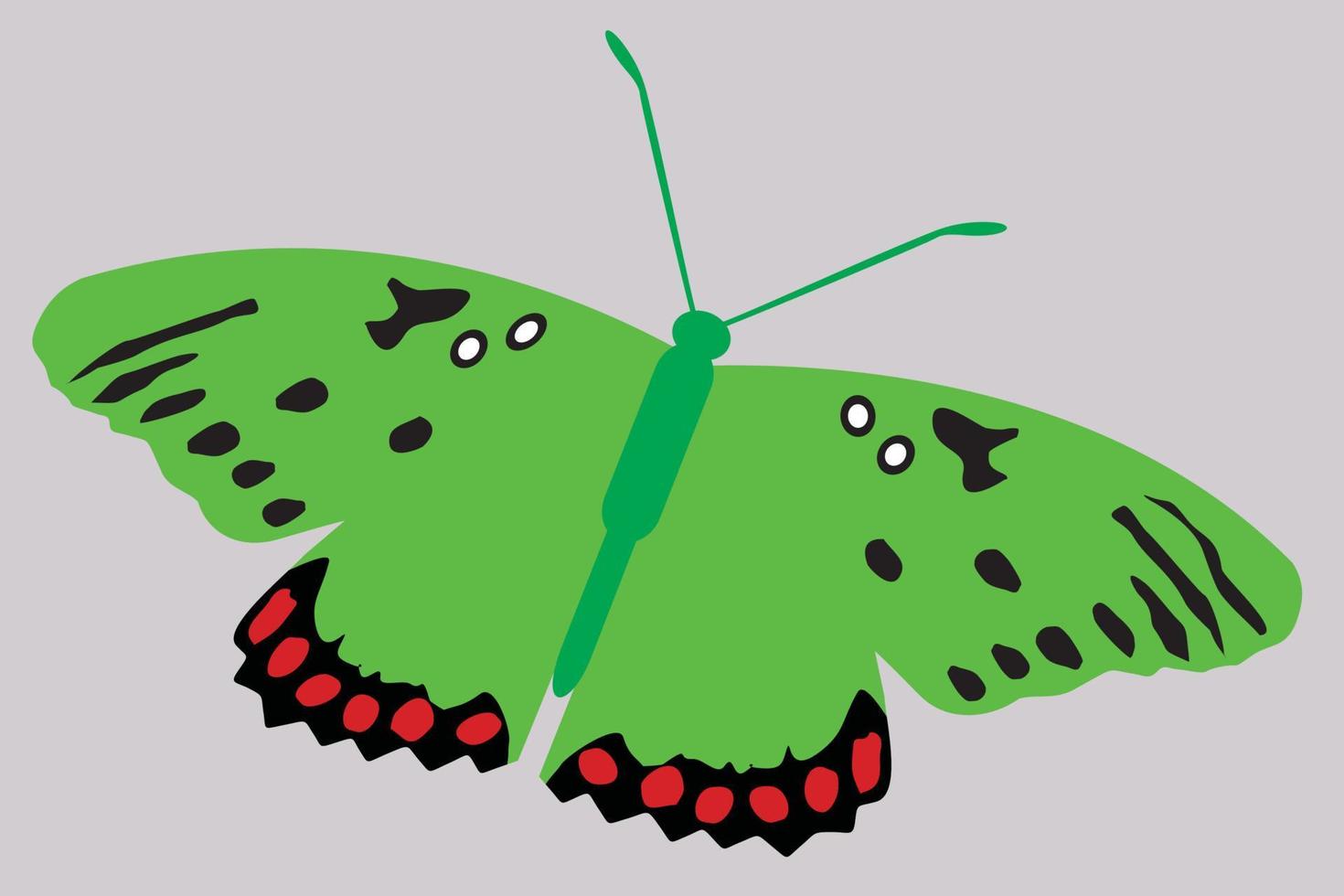 Illustration des Schmetterlings. Schmetterlingsdesign von Hand gezeichnet. vektor