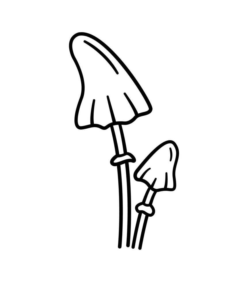 giftige Pilze. handgezeichnete skizzenikonen von waldpflanzen. Amanita Virosa. botanische isolierte Vektorillustration im Doodle-Linienstil. vektor