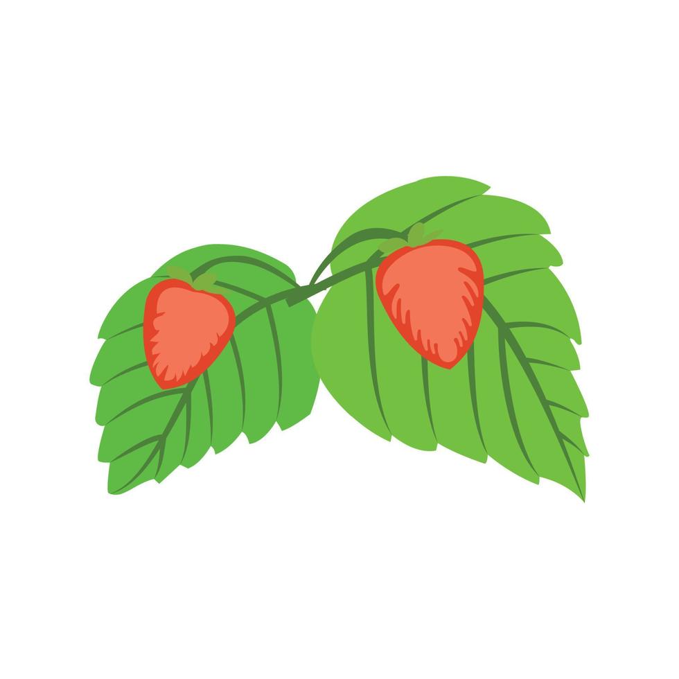 jordgubb vektor bild vektor illustration av två jordgubbar på en blad.