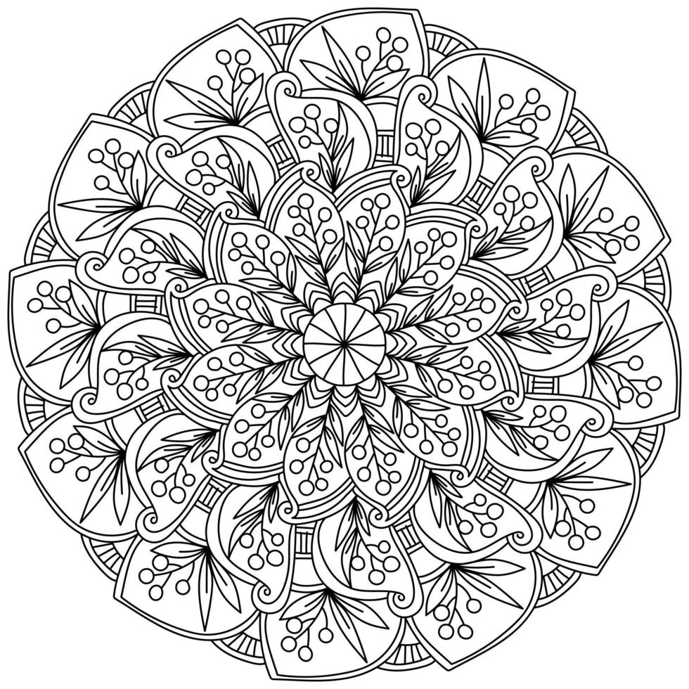 utsmyckad mandala med kvistar av bär och löv, meditativ färg sida med växt motiv vektor