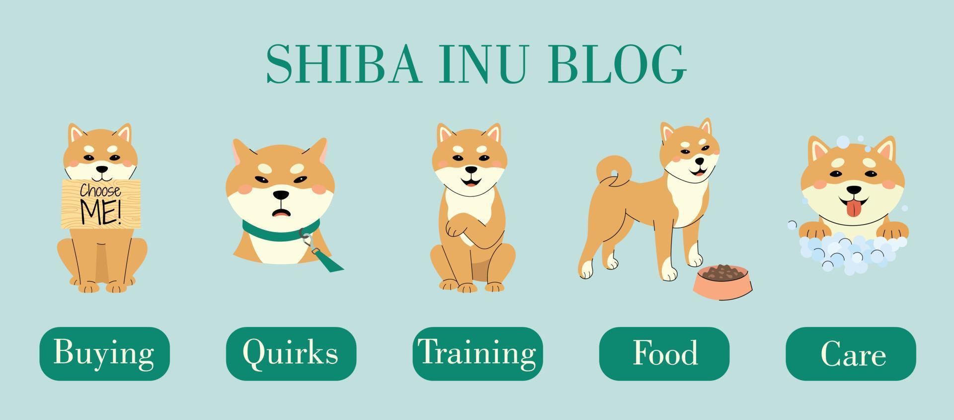 ein Set mit unterschiedlicher Pose von Shiba Inu. Shiba Inu Blog-Konzept. Kapitel über Einkaufen, Macken, Training, Ernährung und Pflege. vektor