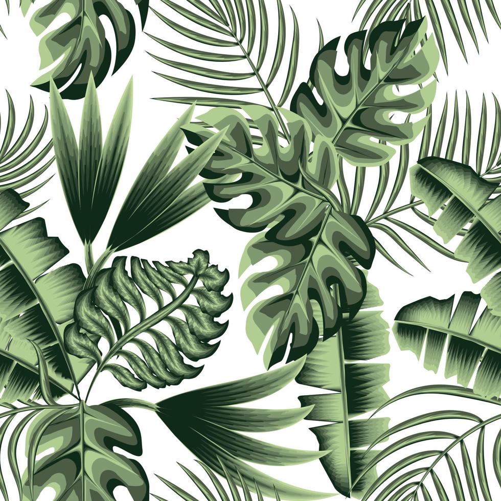 ursprüngliches tropisches nahtloses muster mit grünen exotischen pflanzen und blättern auf hellem hintergrund. einfarbig stilvoll. Blumenhintergrund. exotische Tropen. Sommerdesign. Vektordesign. Dschungel-Tapete vektor