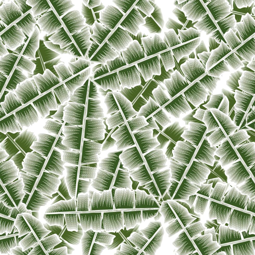 grüne einfarbige Bananenblätter Hintergrund dekoratives Vektordesign nahtloses Muster mit Strichzeichnungen auf weißem Hintergrund. Naturtapete. exotischer tropischer hintergrund. Stoffstruktur. Sommerdesign vektor