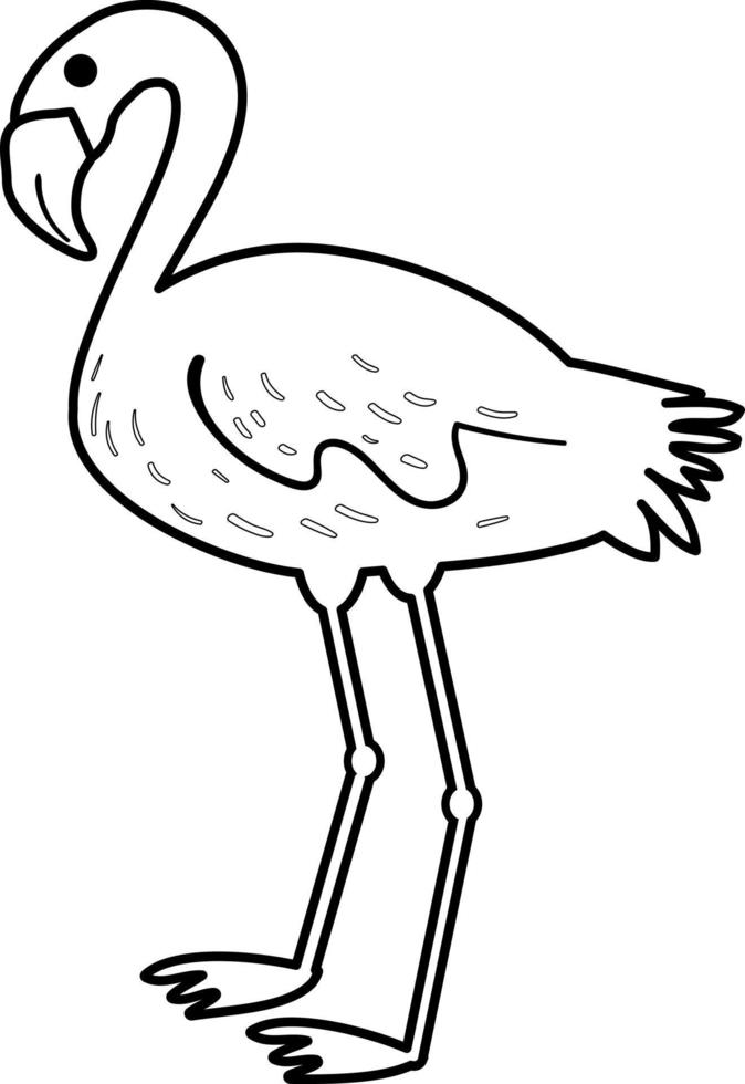 Afrikanischer Vogelflamingo vektor