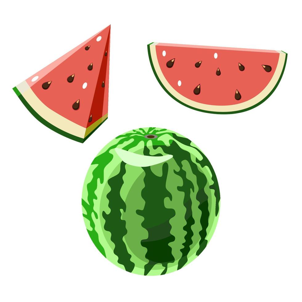 vattenmelon hel och skivad vektor