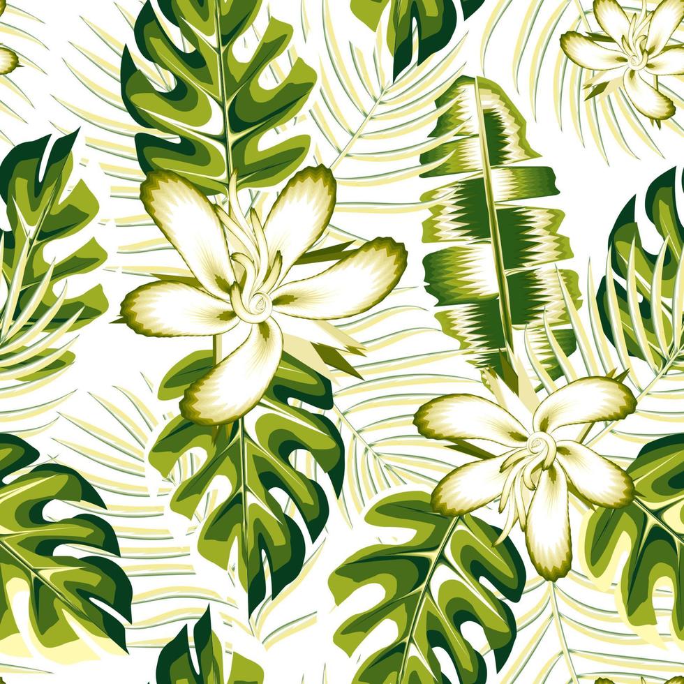grön sommar tropisk växt sömlös mönster med banan handflatan löv och monstera växter lövverk på ljus bakgrund. grön hibiskus blommor teckning. modern textur. djungel. blommig bakgrund vektor