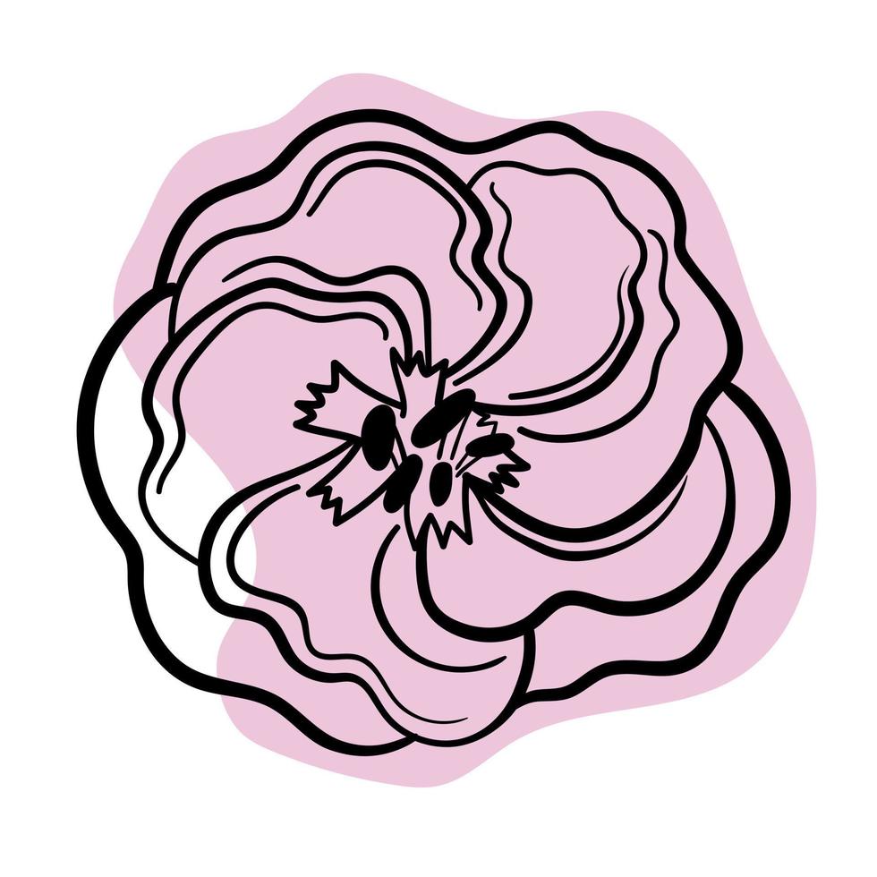 vektor linje svart illustration grafik blommor rosa Eustoma på färger fläckar.