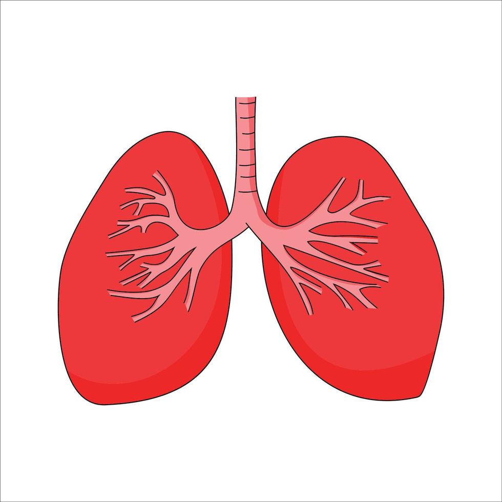 Lunge-Vektor-Illustration. Zeichen und Symbol des menschlichen Organs. vektor