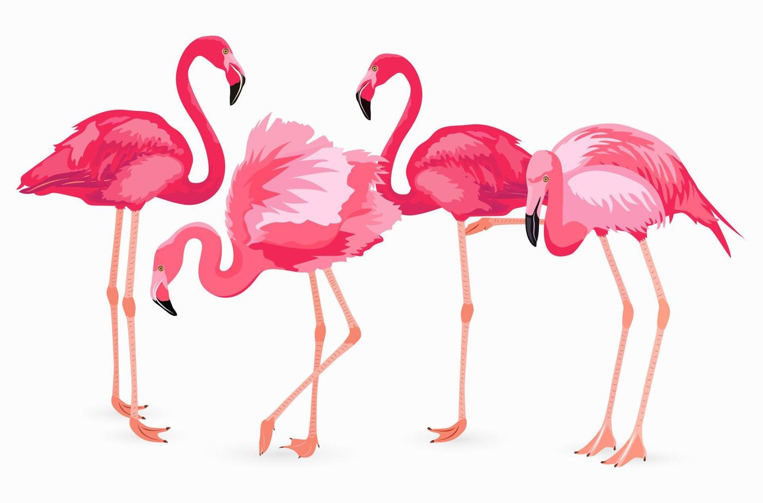 Flamingo-Sammlung. Vektor isolierte Elemente auf weißem Hintergrund. Rosa Flamingos in verschiedenen Posen. Vektor-Illustration