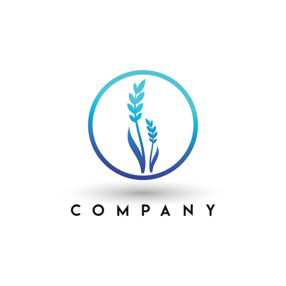 Landwirtschaft Weizen Vektor Icon Design Weizen Logo